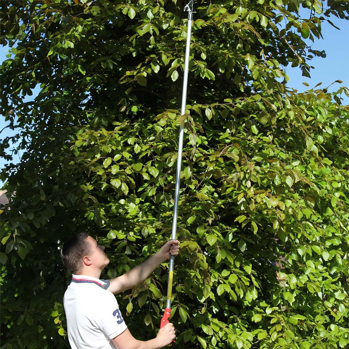 ARS LR Series LongReach Heavy Duty Tree Pruner