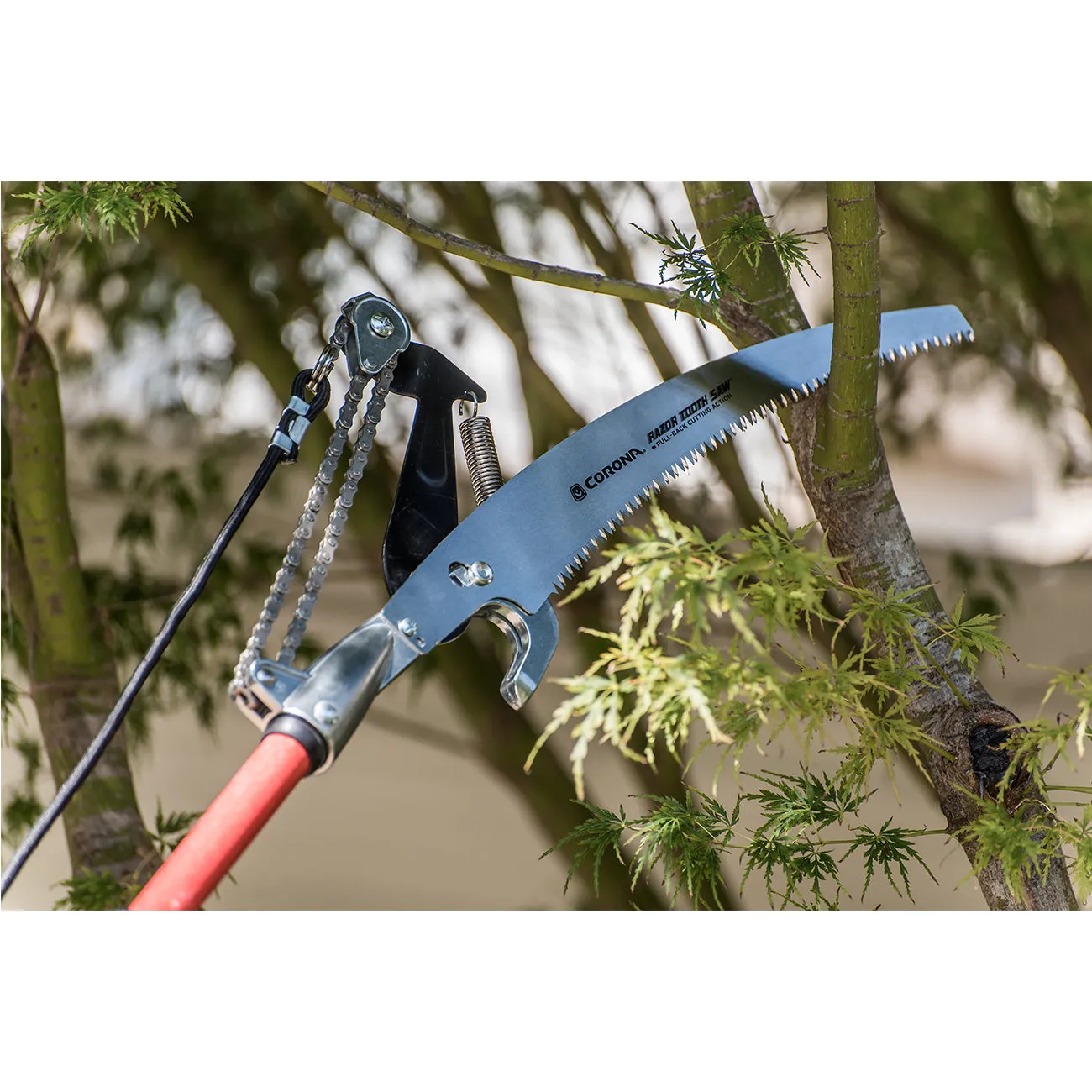 Corona Max RazorTOOTH Extendable Tree Saw and Pruner