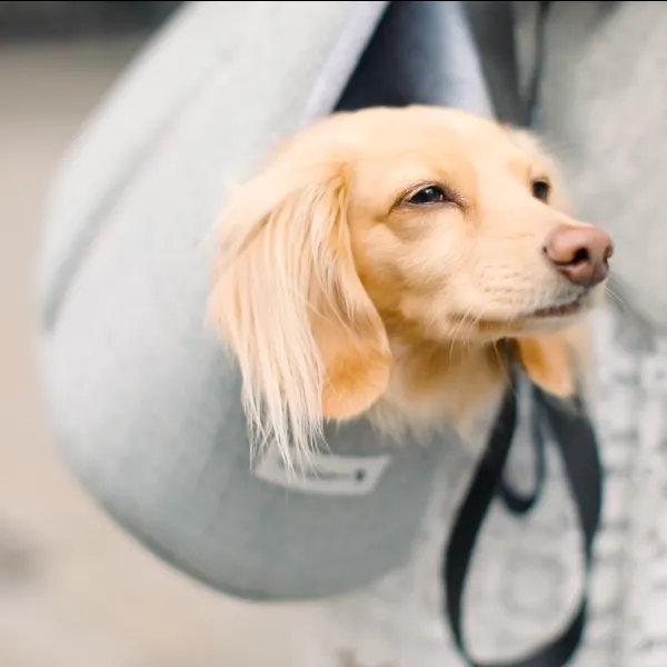 'The Marylebone' Light Grey Luxury Dog Carrier