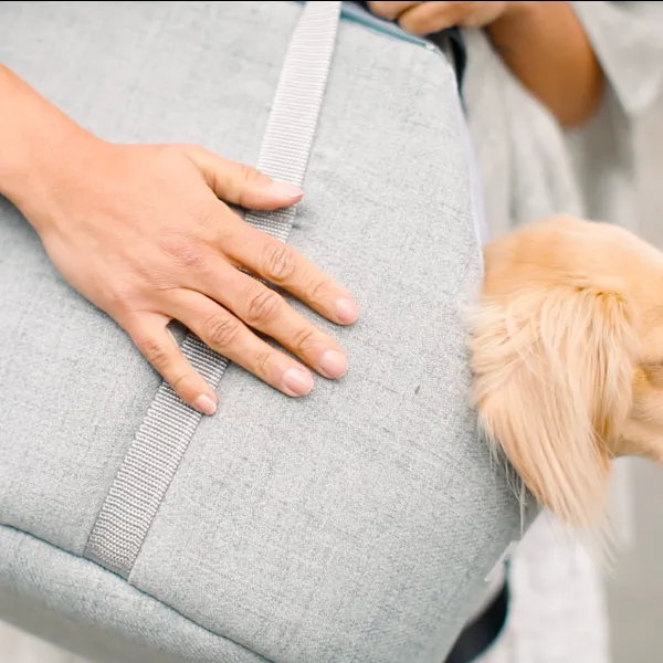 'The Marylebone' Light Grey Luxury Dog Carrier